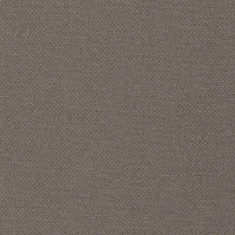 Cotton Plain - pigeon