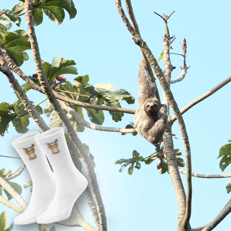 epicsocks Faultier Freude Faultier mit Ast Socken in 37-41 im Paar
