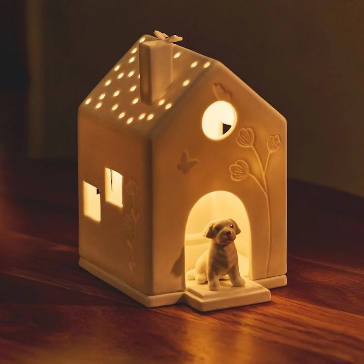 Räder Lichthaus Hund