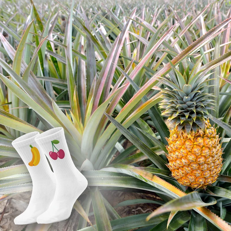 epicsocks Sunshine Fruits Socken in 37-41 im 6er Set in Geschenkdose im 6er Set in Geschenkbox