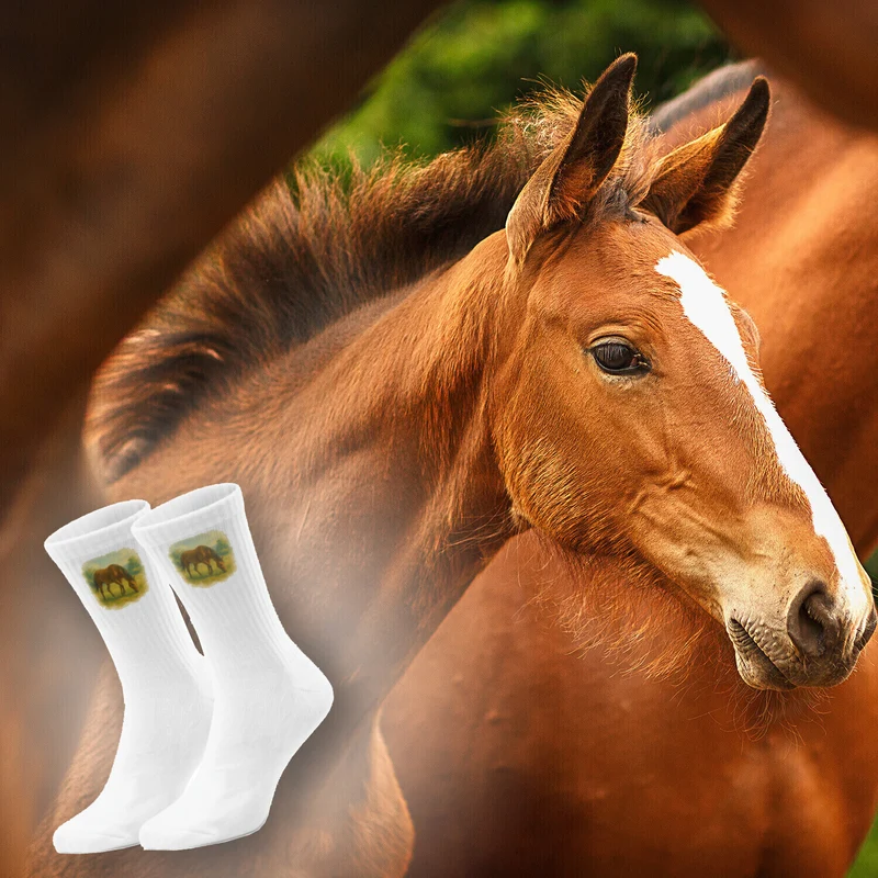 epicsocks Equine Dreams Weidendes Pferd Socken in 37-41 im Paar