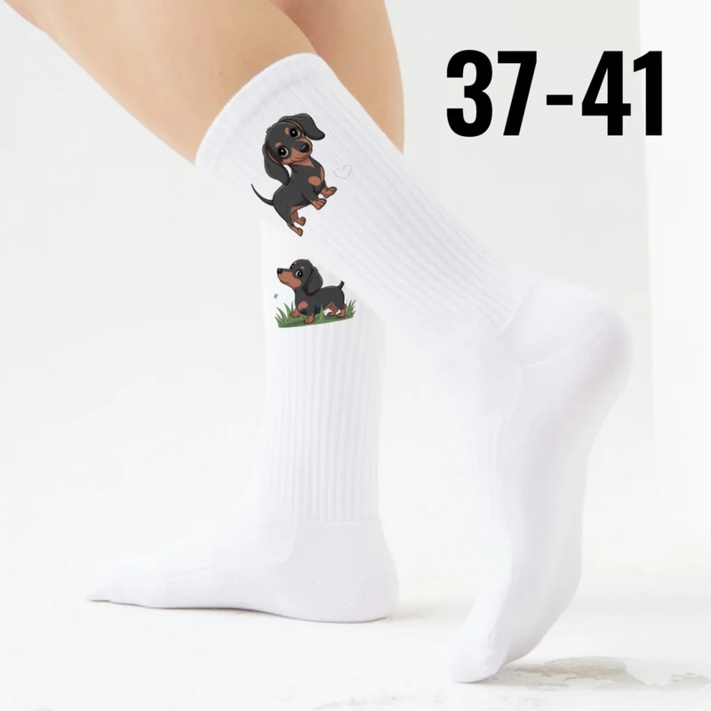epicsocks Dackel Dreams Socken in 37-41 im 6er Set in Geschenkdose im 6er Set in Geschenkbox