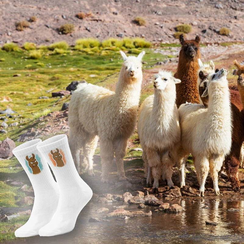 epicsocks Llama Expressions Lama Laune Socken in 37-41 im Paar