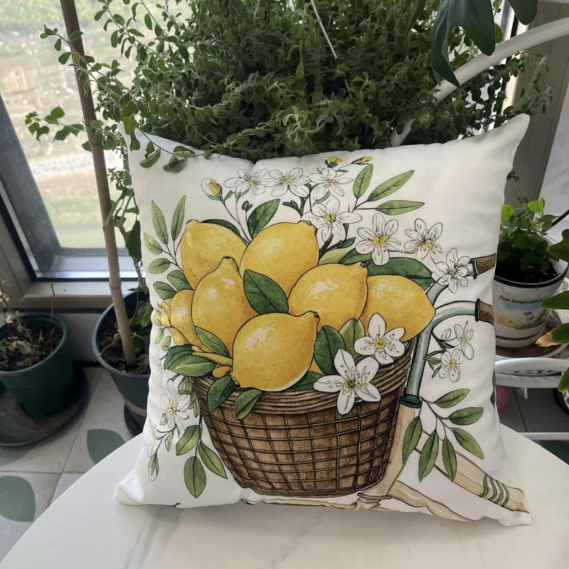 Samt Kissenbezüge 45x45 Set - Weiche Dekokissen für Zuhause