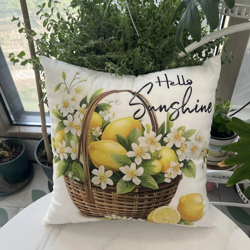 Samt Kissenbezüge 45x45 Set - Weiche Dekokissen für Zuhause